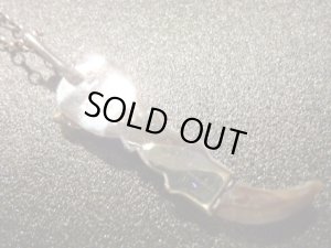 画像3: ナバホ　コヨーテクロー&ターコイズ&バッファロー付　TOP