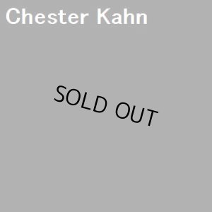 画像1: ナバホ　Chester・Kahn　スタンプワーク　ビスビーターコイズ付　リング21号
